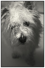 Un bain ? Tu as dit un bain ?