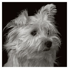 A la manière de...(II)