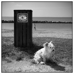 Chacun sa route, chacun son ...