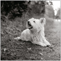 Le 6x6, c'est pas rapide...